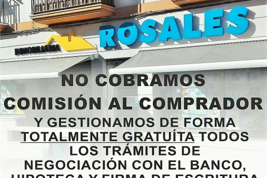 17 FANEGAS DE OLIVOS DE VARIAS CASTAS